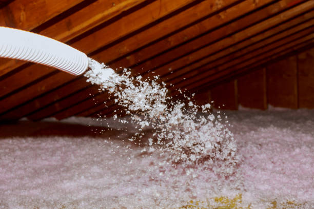 Best Local Insulation Services  in Water Valley, MS
