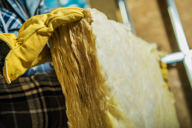 Best Crawl Space Insulation  in Water Valley, MS