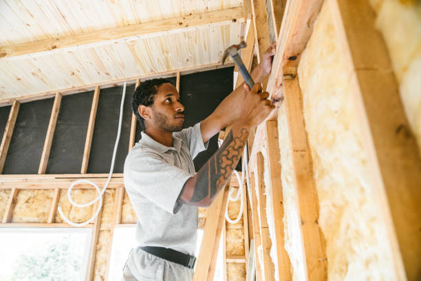Best Insulation for New Construction  in Water Valley, MS
